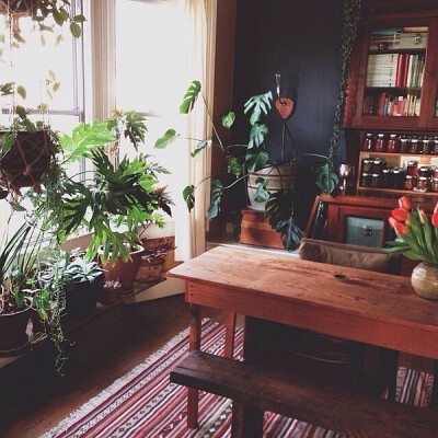 家里的秘密花园