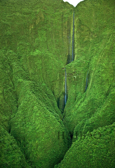 Honokohau Falls (Honokohau 瀑布) ， 毛伊岛
巨大的绿色山脉中，流著捐细的瀑布，非常壮观的景象，偏僻而无人，被极度的神秘感笼罩。