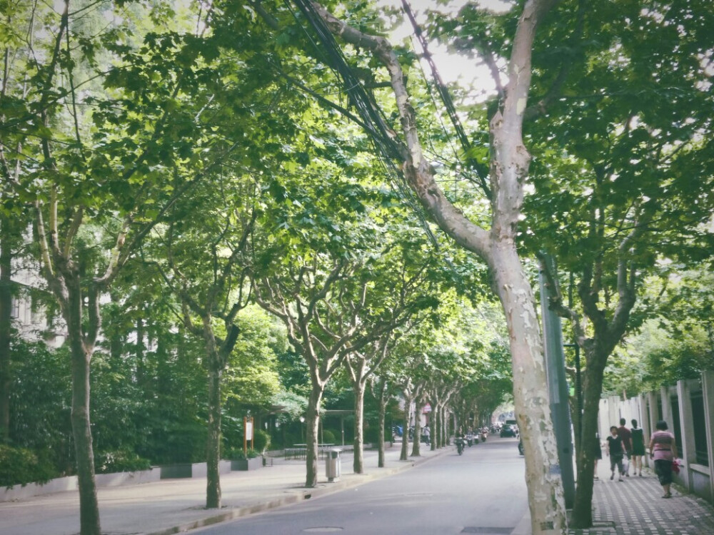 是夏天。
还是家的。
那熟悉的味道。
是我最爱的味道。