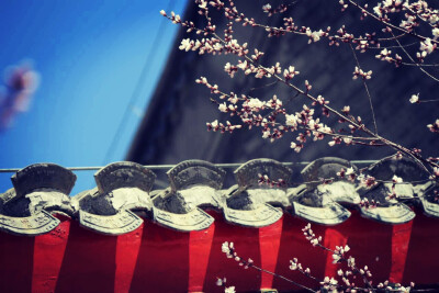  有些视角不用太刻意☔