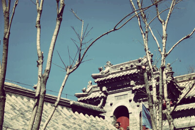  心若向阳何惧忧伤☔