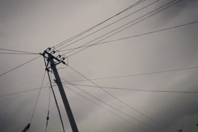  单线条 一点都不像猫胡子☔