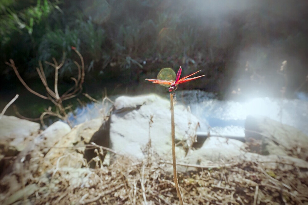 去过的地方承载了太多故事，没去过的地方承载了太多梦想。