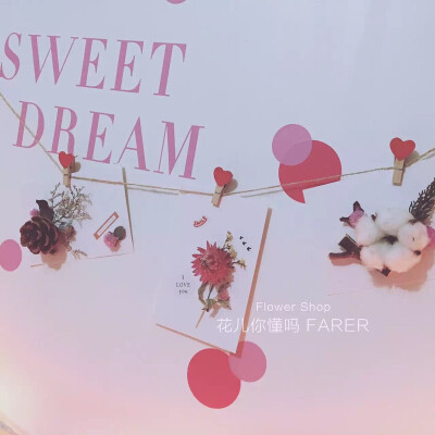 ❀花儿你懂吗FARER❀