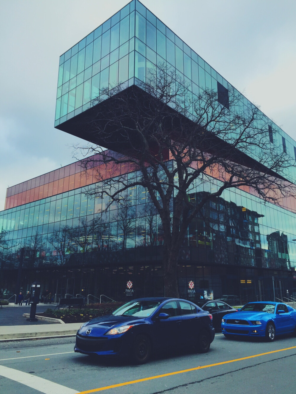 Halifax library 一个非常棒的建筑 里面结构什么的更是不用说堪称完美