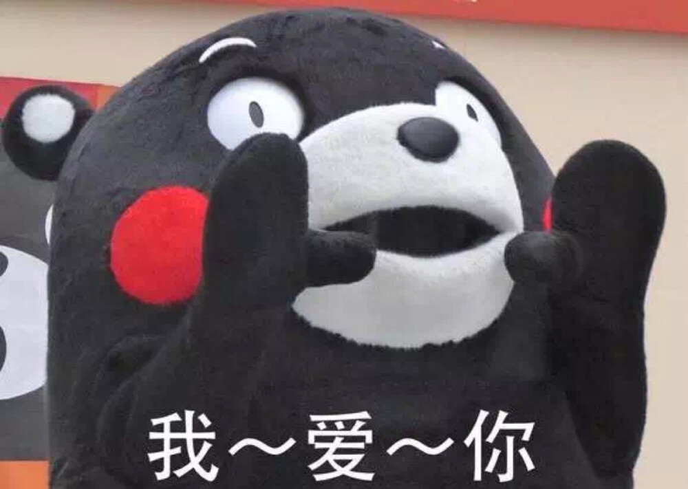 我爱你，kumamon