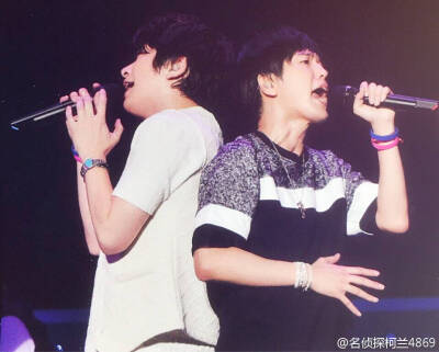 dgs what is rock 巡演