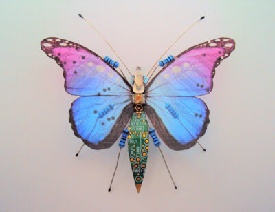 她用废弃的电子垃圾做成的蝴蝶竟然比真的还美！Julie Alice Chappell是一名来自英国的艺术家，她将一些电子垃圾的主板和元器件刻画成了蝴蝶、蜻蜓等样子，没想到，竟然美爆了！给环保的艺术点赞