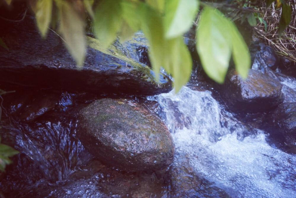 夏天大家都往水里奔