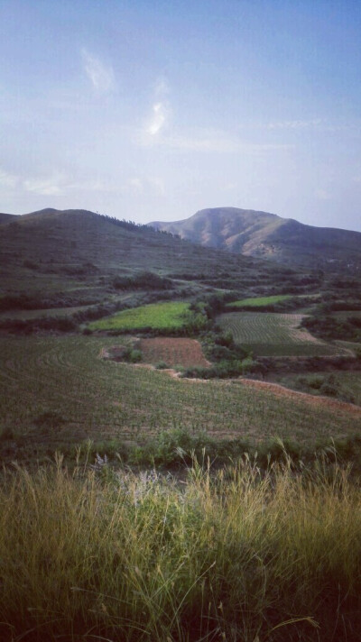 梯田，山，天