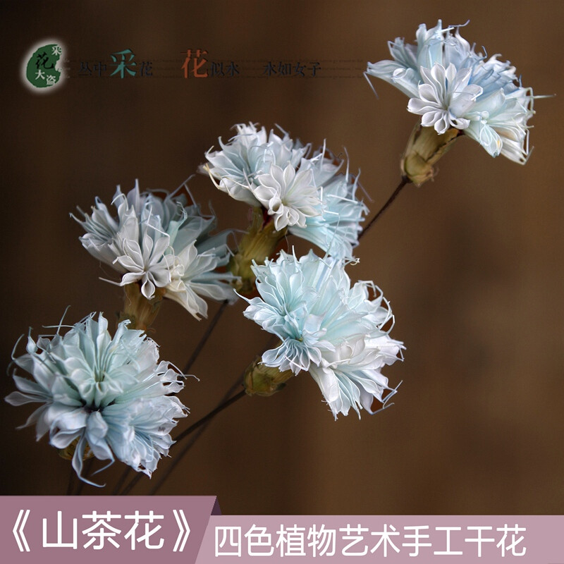 干花真花干花批发假花仿真花束干花花束装饰花客厅卧室内天然落地