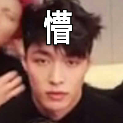 exo表情包 张艺兴 LAY