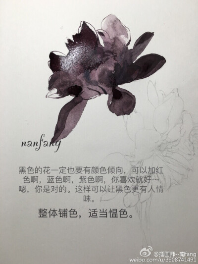 暗黑系大丽花11