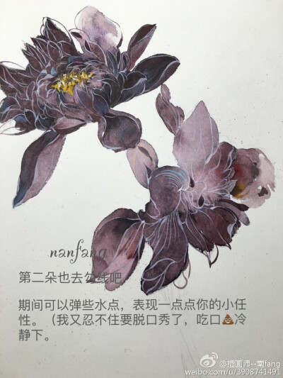 暗黑系大丽花6