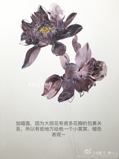 暗黑系大丽花7