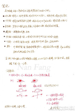 笔记来自@插画师--南fang
