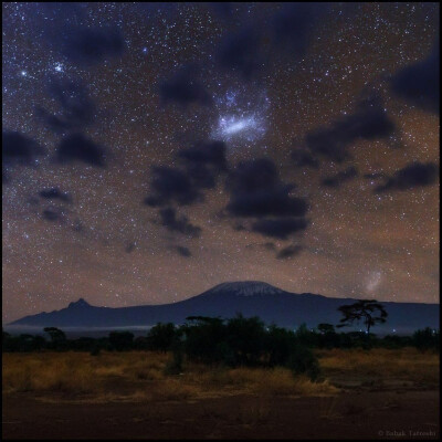 在肯尼亚拍摄的灿烂的夜空图像。 Image courtesy National Geographic