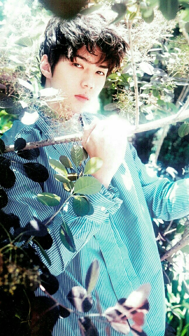 #我要榜咚吴世勋# #堂堂正正吴世勋# 这个造型我太喜欢了来一发彩虹壁纸