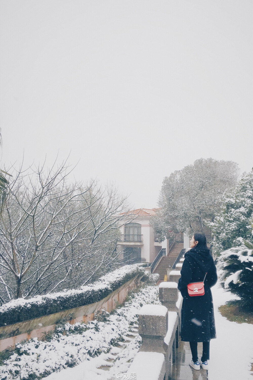 雪天 亮色包