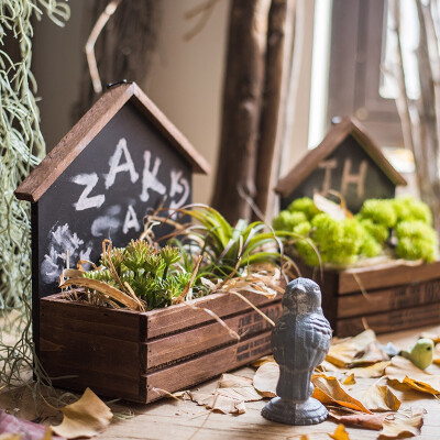 掬涵黑板房子花器 木盒子花盆 花盒微景观造景花园多肉ZAKKA