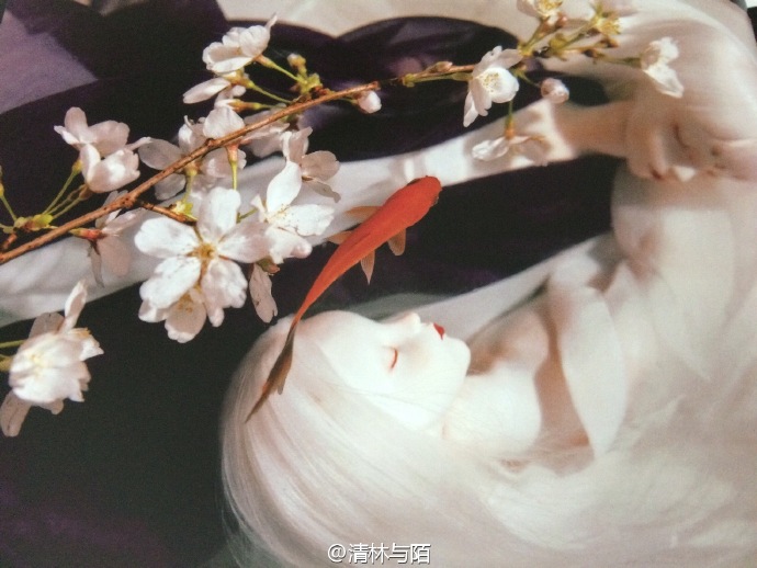 2016年水仙--sheep卍 出的本子