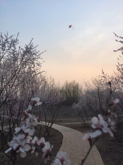 路在脚下，去欣赏途中的美景