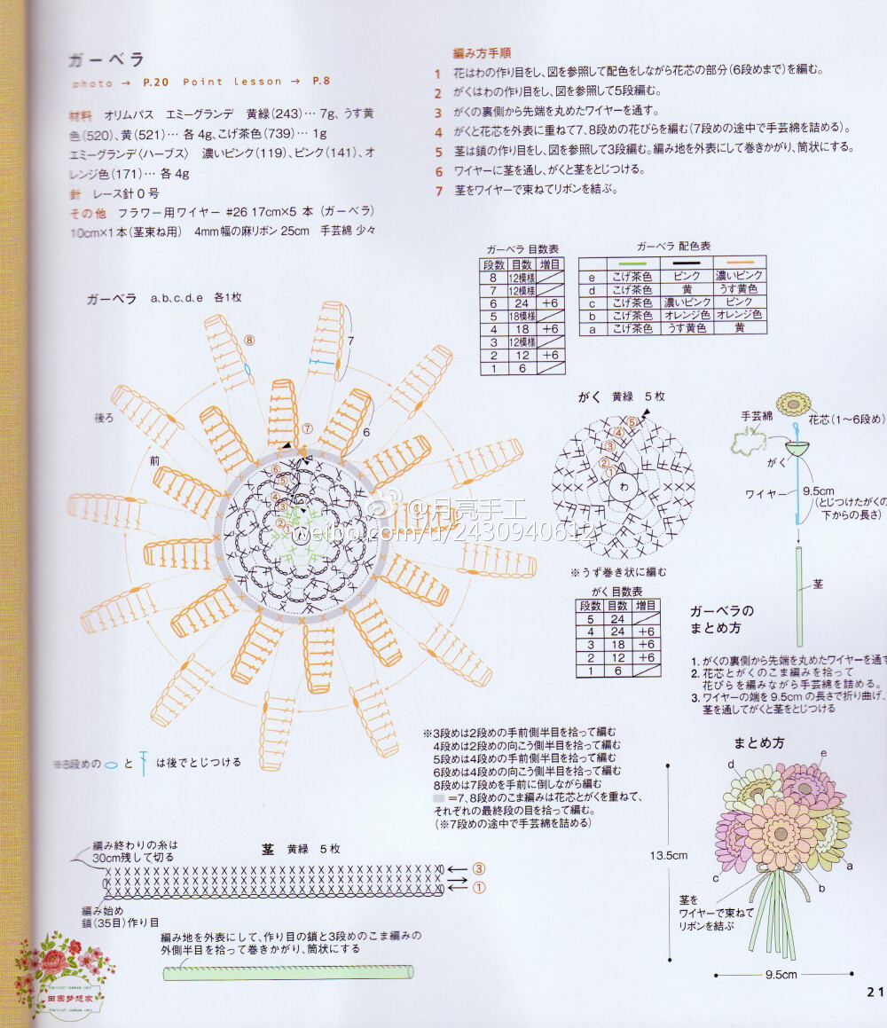 非洲菊