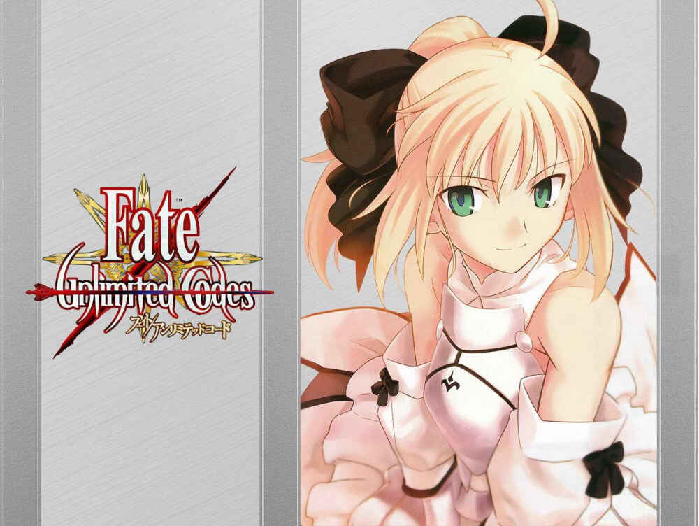 fate unlimited codes SaberLily 灰色 壁纸 武内崇