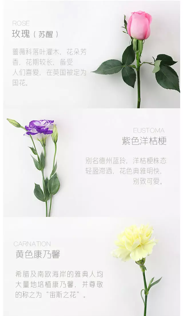 鲜花