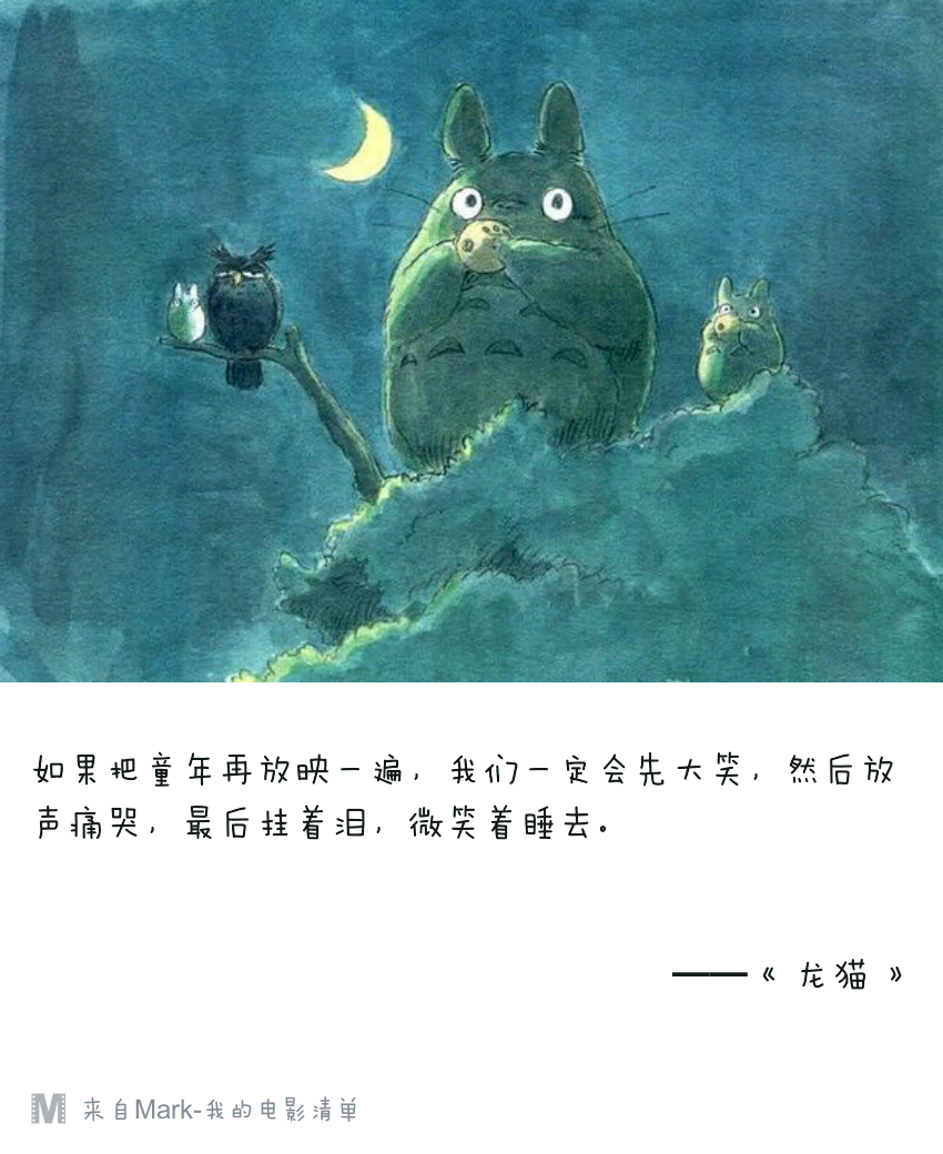 龙猫