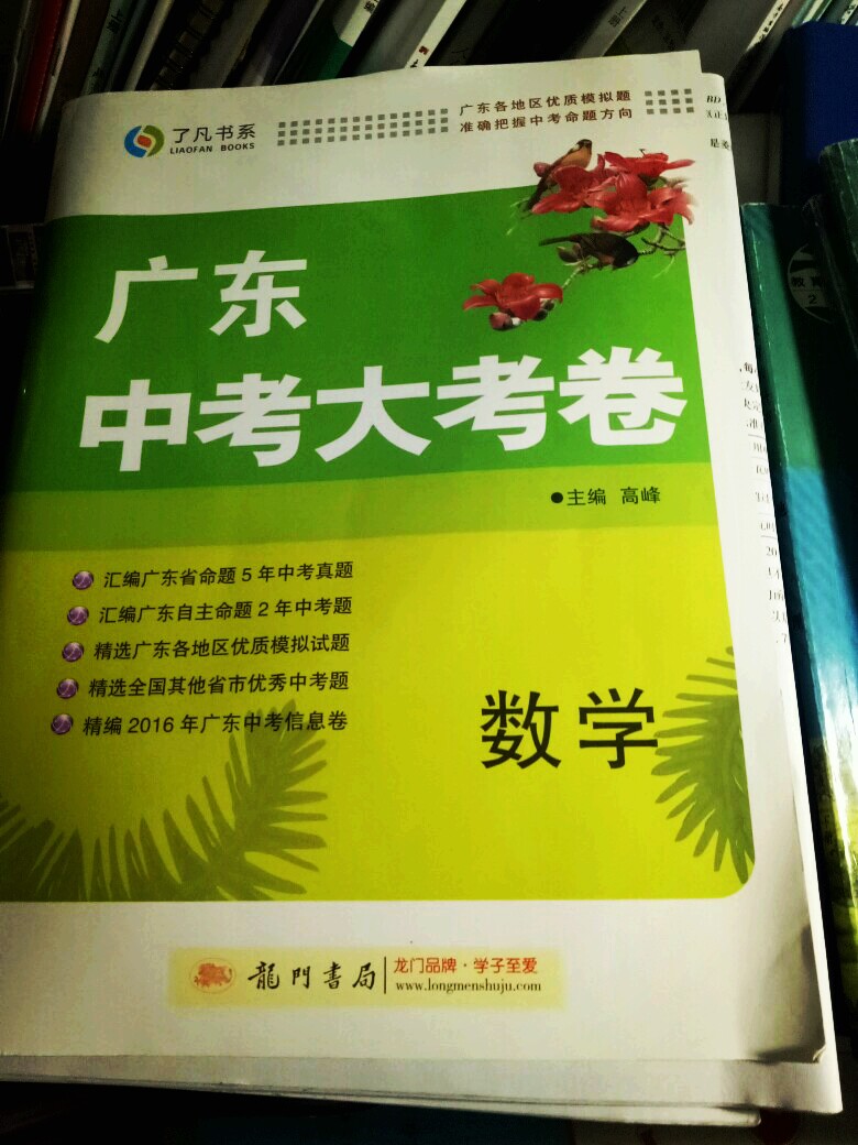 这是中考一百天倒计时的时候同桌强烈推荐的，在她热情宣传下，我买了它，填了大约十多张吧，效果就是检查自己的能力，如果用来提高能力的话，不推荐。