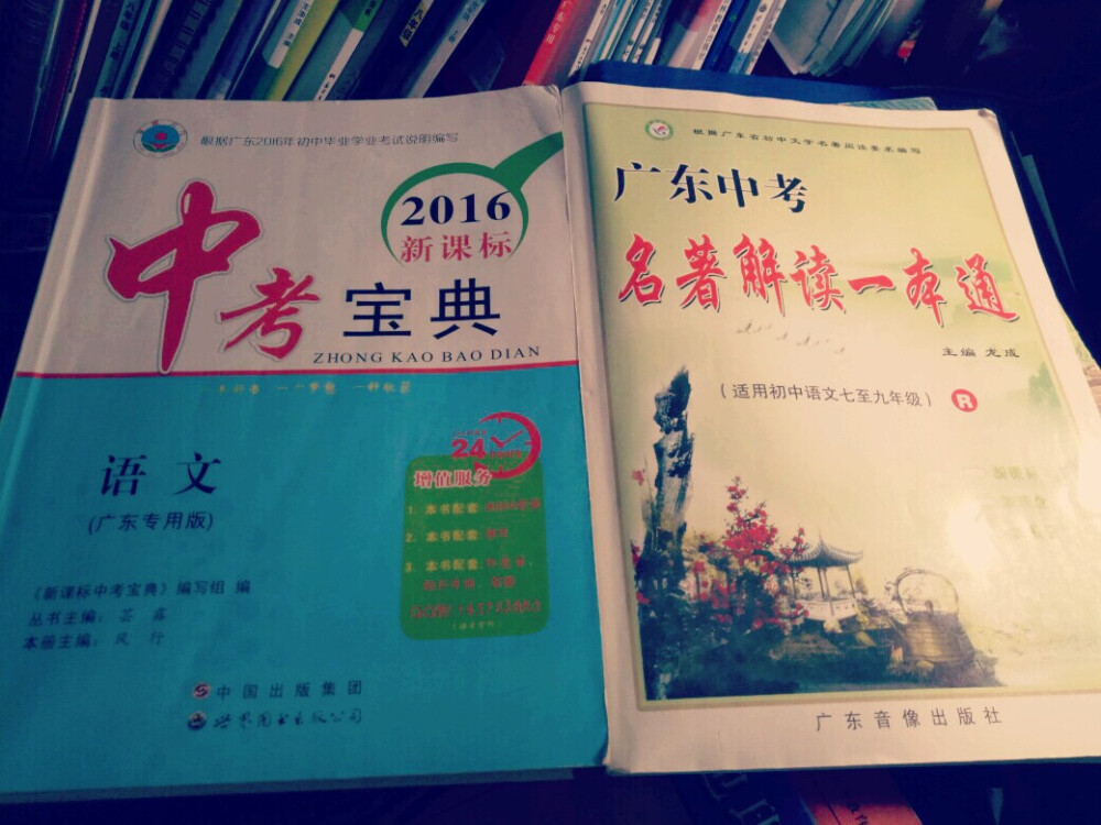 这是中考的两本复习练习册，左边知识点总结的不错，用来做文言文，名著复习不错，其他内容没什么感情。右边是重点的名著复习，挺恨这本书的，把书解读得跟什么似得，难道读者不能有自己的解读吗？现实是我超恨《格列佛游记》但为了中考，我必须背下里面的解读。