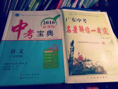 这是中考的两本复习练习册，左边知识点总结的不错，用来做文言文，名著复习不错，其他内容没什么感情。右边是重点的名著复习，挺恨这本书的，把书解读得跟什么似得，难道读者不能有自己的解读吗？现实是我超恨《格列…