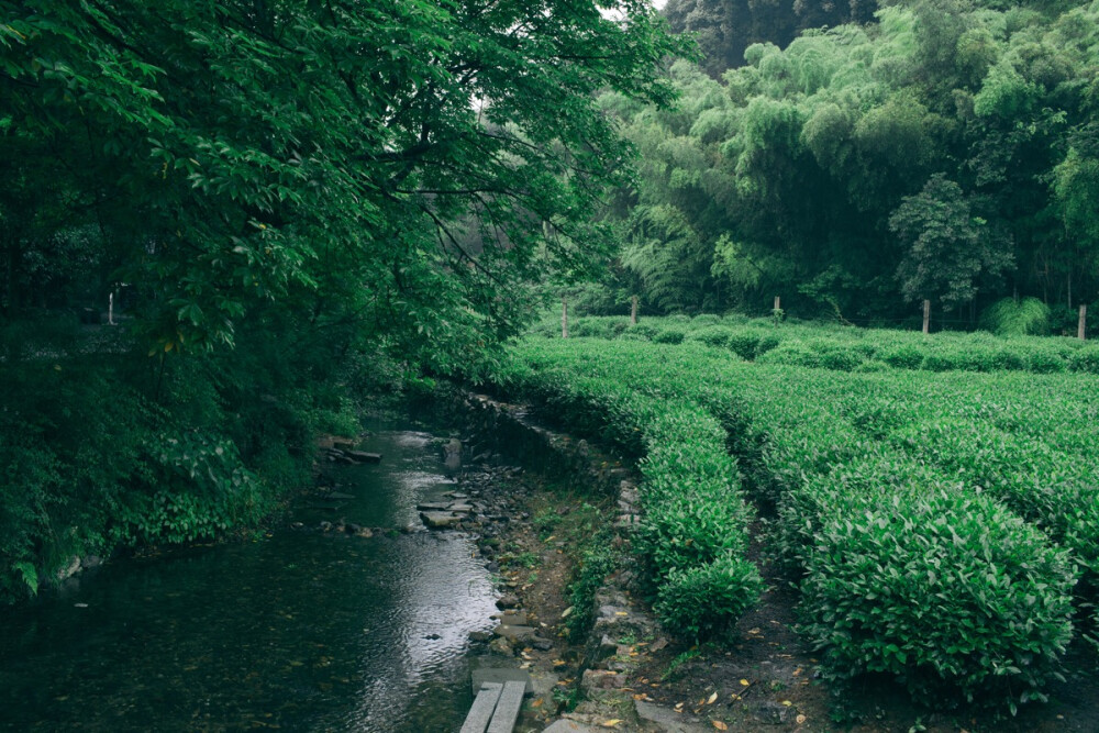 杭州西湖灵隐寺