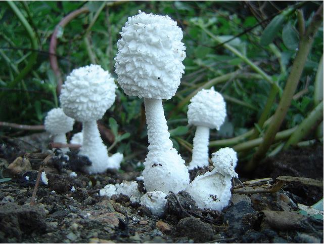 堆糖,美图壁纸兴趣社区