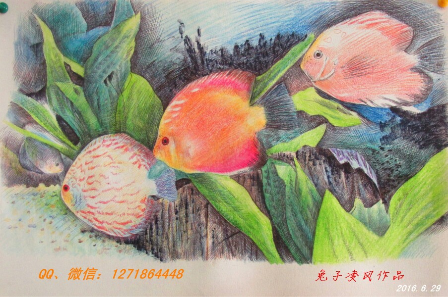 兔子凌风圆珠笔画练习