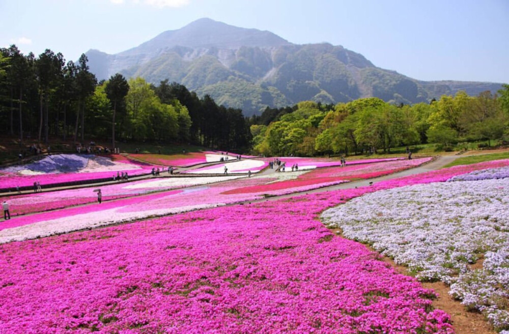 山羊公园