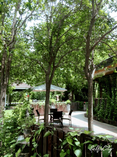 身。心。放松。。