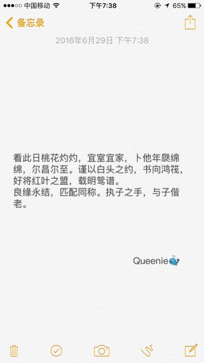 备忘录文字❤️古风 执子之手，与子偕老