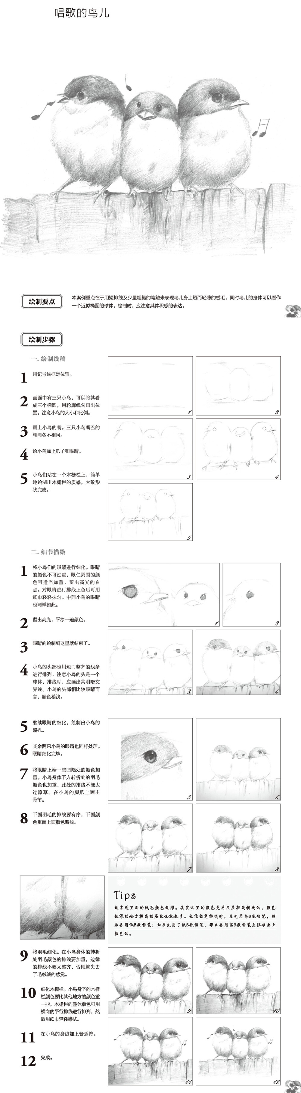 本案例摘自人民邮电出版社出版的《轻松学手绘：素描基础入门教程
》http://product.dangdang.com/23917479.html
