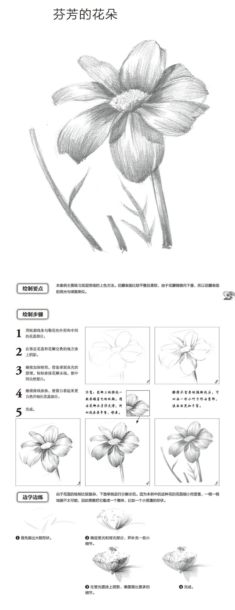 本案例摘自人民邮电出版社出版的《轻松学手绘：素描基础入门教程
》http://product.dangdang.com/23917479.html
