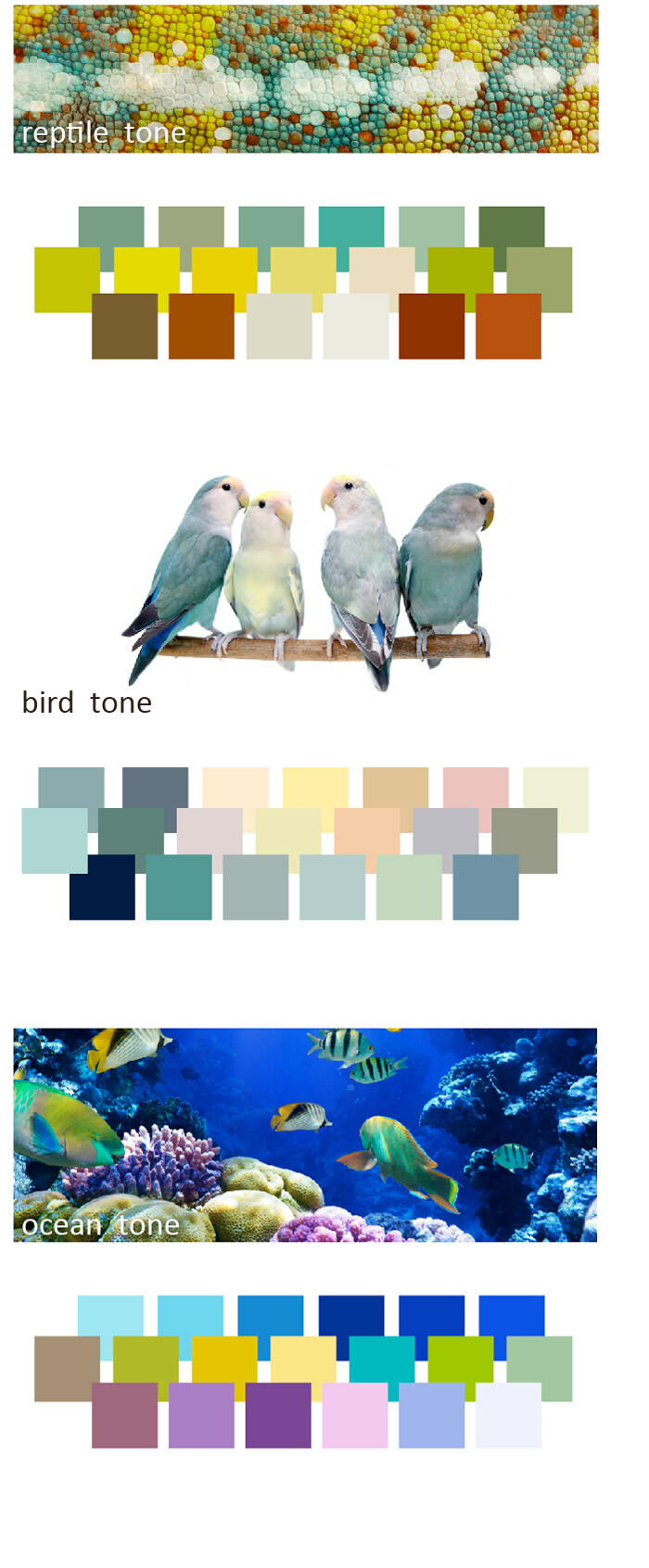  color tone