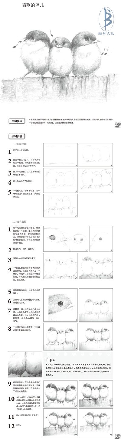 本案例摘自人民邮电出版社出版的《轻松学手绘：素描基础入门教程》。更多原创绘画教程和作品将在“爱林文化”公众号（aiibook）中长期分享！爱林博悦——只为悦读者！