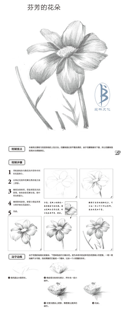 本案例摘自人民邮电出版社出版的《轻松学手绘：素描基础入门教程》。更多原创绘画教程和作品将在“爱林文化”公众号（aiibook）中长期分享！爱林博悦——只为悦读者！