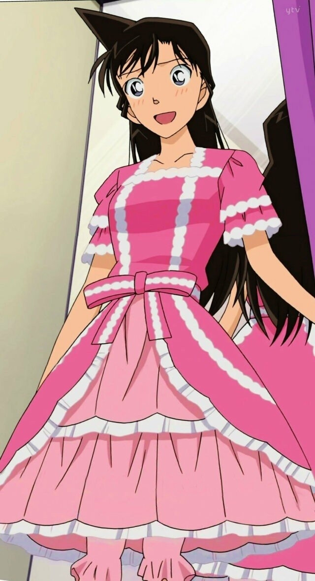 名侦探柯南毛利兰