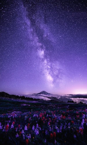 紫色星空 堆糖 美图壁纸兴趣社区