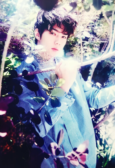 EXO Sehun 吴世勋 w Korea 杂志扫图