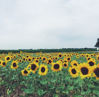 vscocam：曝光-1 对比度-1 效果02