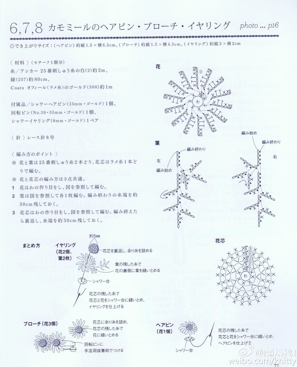 小雏菊