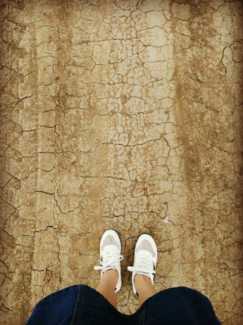 脚踏实地的活着。